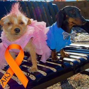 Meet your Posher, Claudia